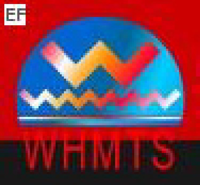 2008華中地區(qū)(武漢)第五屆機(jī)床工具展覽會