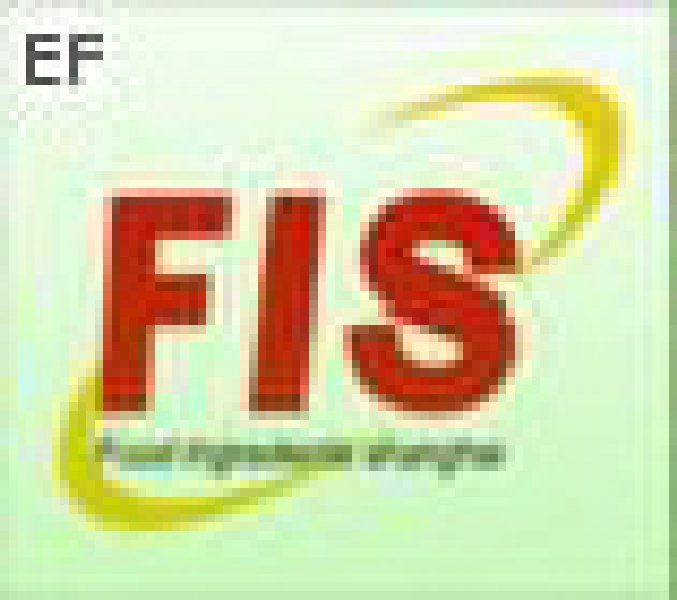 2008食品安全和食品添加劑研討會、第二屆Fis上海國際食品添加劑和配料展覽會