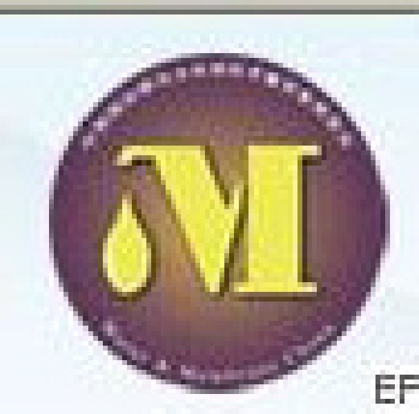 2010第十三屆中國(guó)國(guó)際膜與水處理技術(shù)暨裝備展覽會(huì)