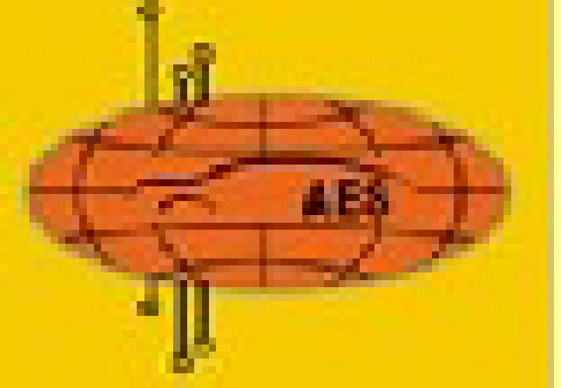 第六屆中國(guó)國(guó)際汽車(chē)電子產(chǎn)品與技術(shù)展覽會(huì)暨汽車(chē)電子行業(yè)高層論壇