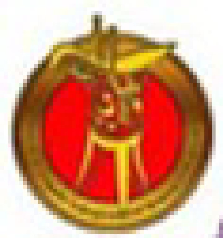 2011年全國第2屆酒類優(yōu)秀營銷商代表大會(huì)暨中國酒類自主品牌展銷會(huì)