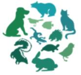 2025第13屆中國(深圳)國際寵物用品展覽會(huì)